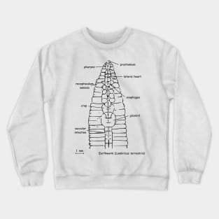 Earthworm (Lumbricus terrestris) anatomy Crewneck Sweatshirt